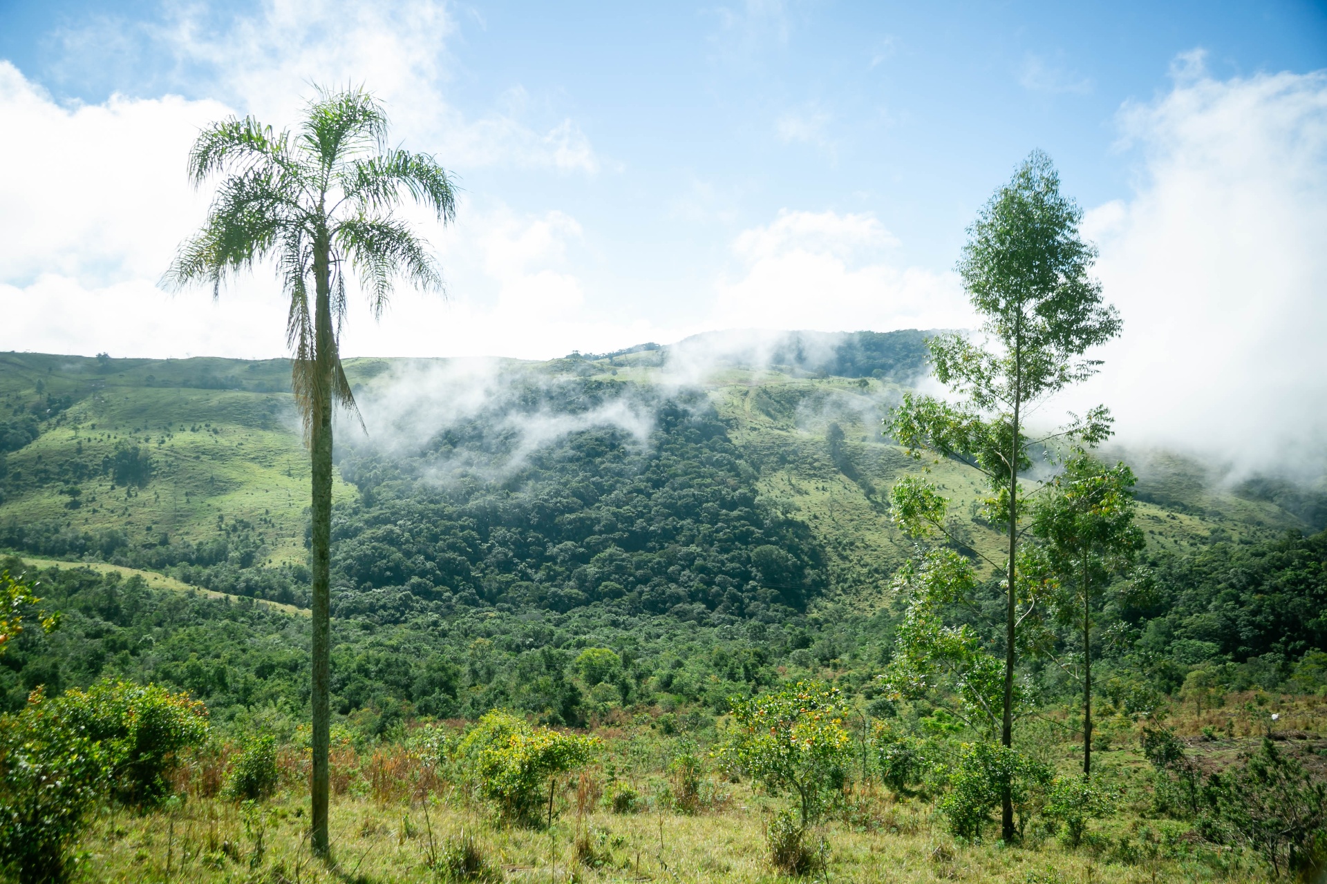 Serras de Tamarana com névoa